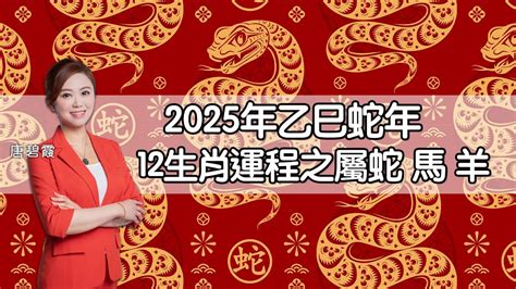 金蛇年2025|麥玲玲蛇年運程2025│十二生肖蛇年運勢排行榜＋財運/桃花/事業。